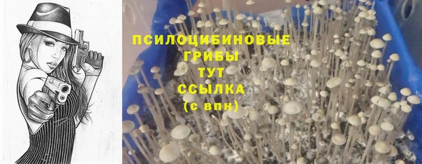 гидропоника Балахна